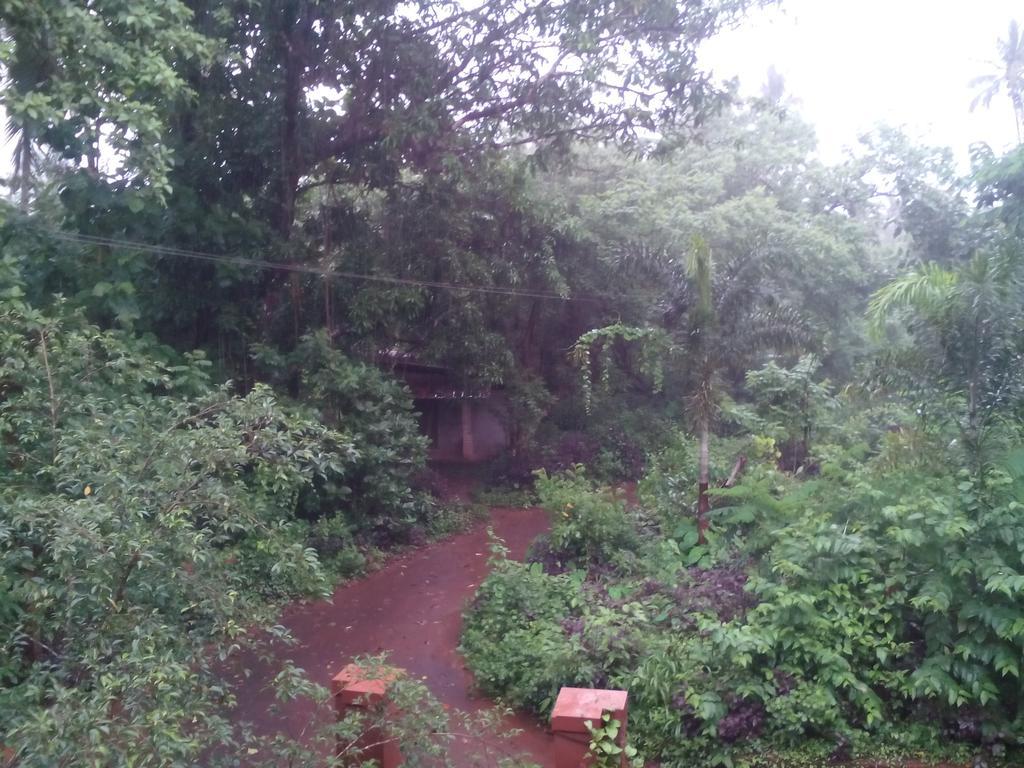 Ivory Coaste Hotel Kannur Bagian luar foto